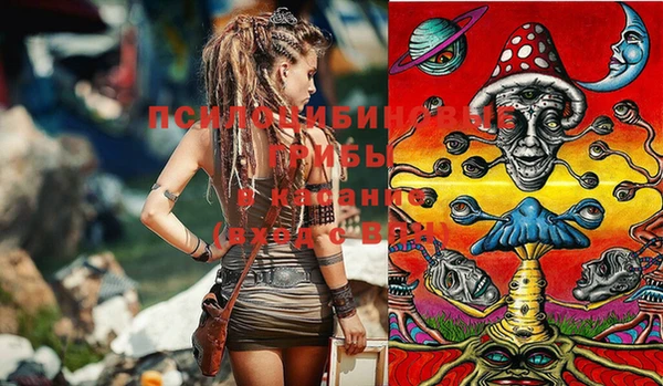 PSILOCYBIN Дмитров