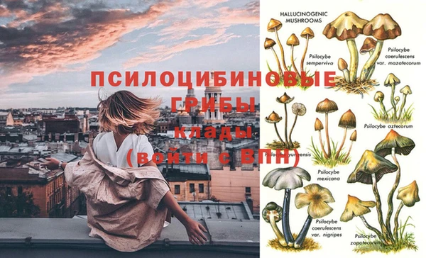 MESCALINE Дмитровск