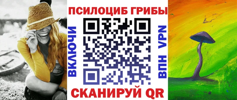 Купить закладки  Островной  Галлюциногенные грибы Psilocybe 
